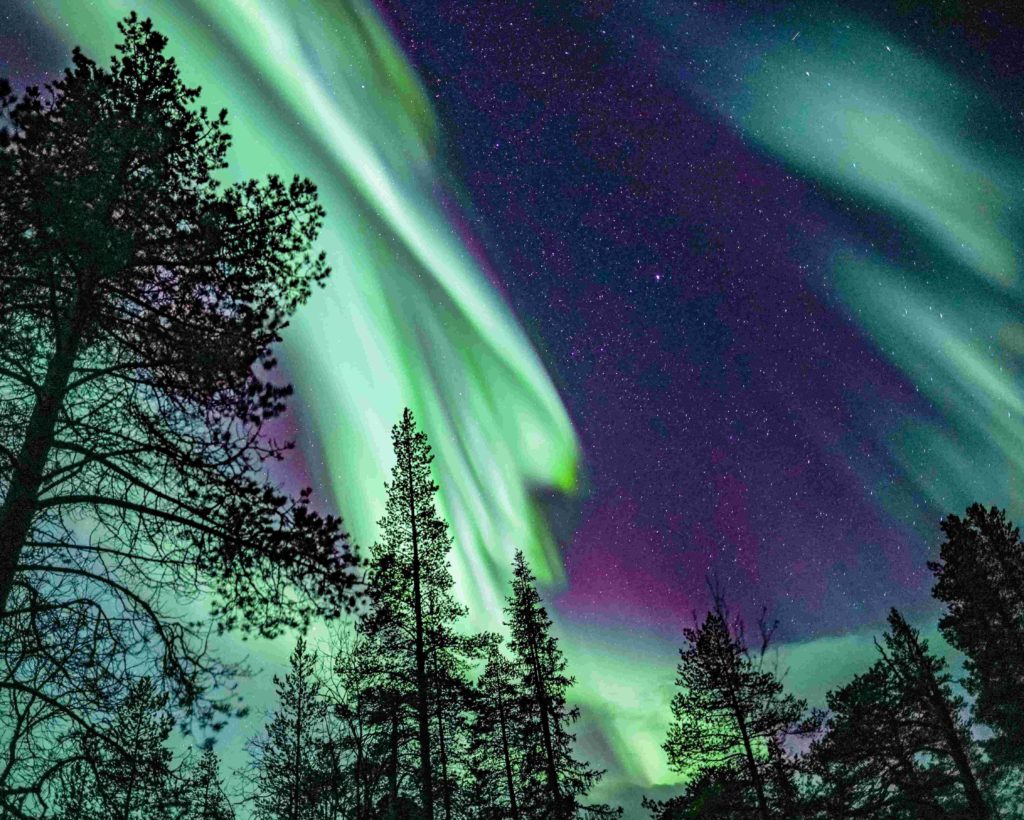 Aurora Expedition, Northern Lights Tour, Lapland Rovaniemi, Arctic Road Trips