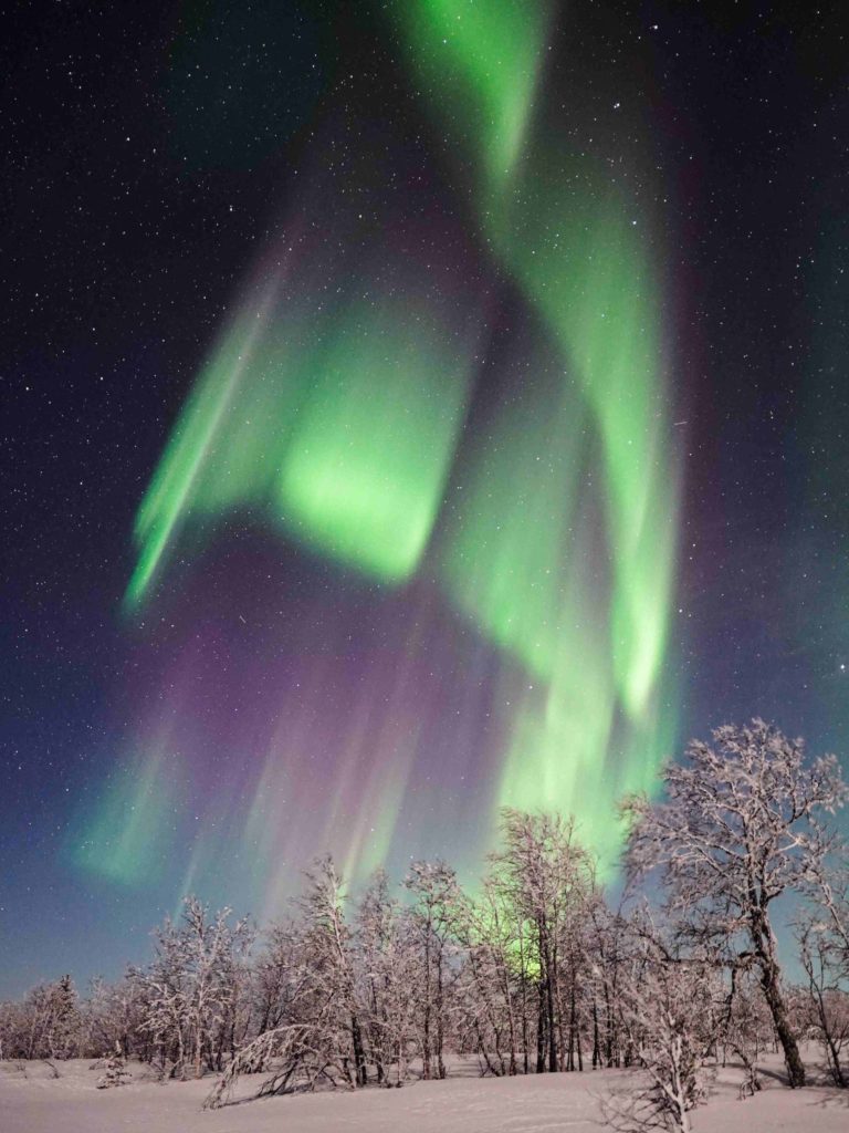 Northern Lights Tour Lapland Rovaniemi, Aurora Expedition