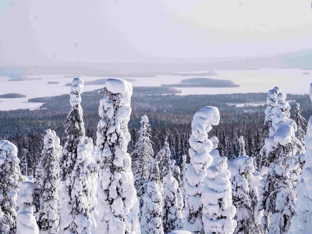 Riisitunturi, Lapland, Road Trips Nationalpark trips, Arctic Road Trips, Rovaniemi