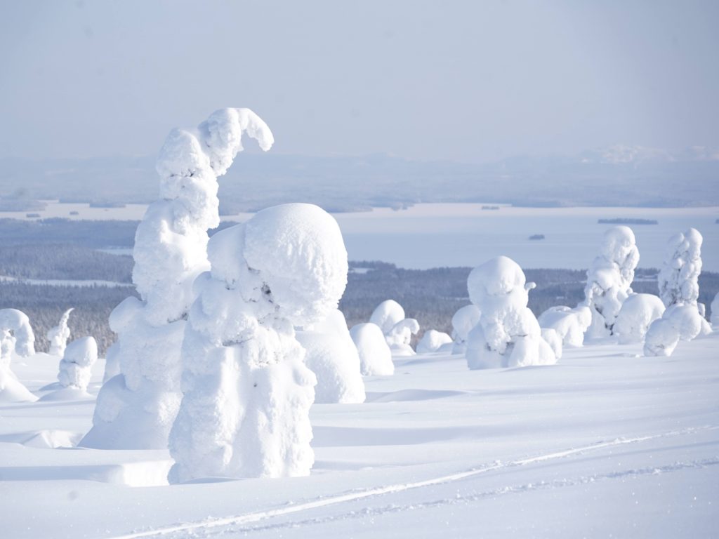 Riisitunturi National Park Lapland, Finland, Rovaniemi, Arctic Road Trips