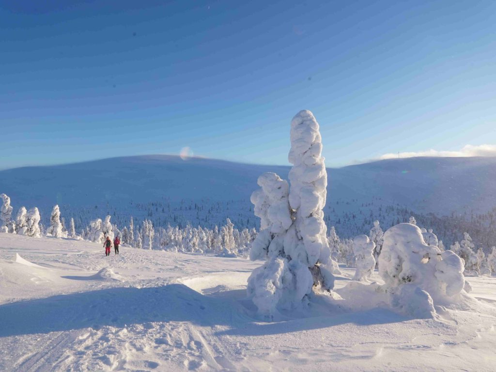 Ylläs Nationalpark, Arctic Road Trips, Lapland, Finland