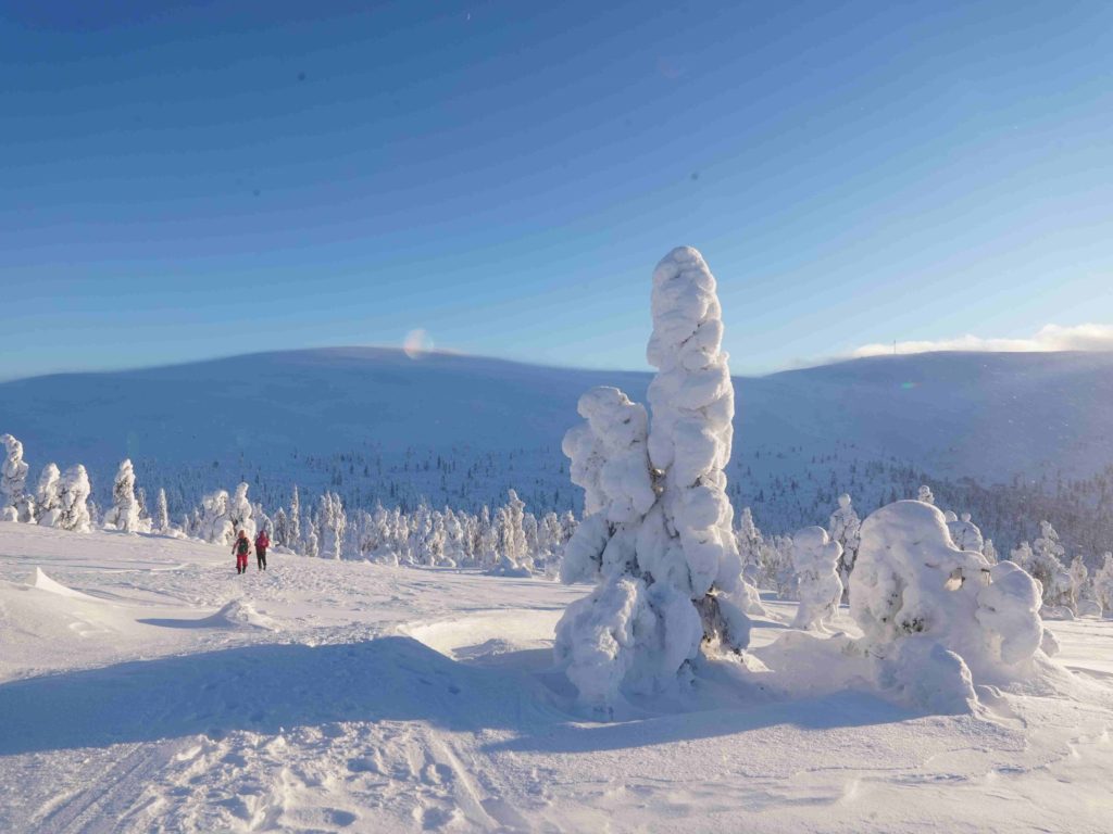 arctic road trips