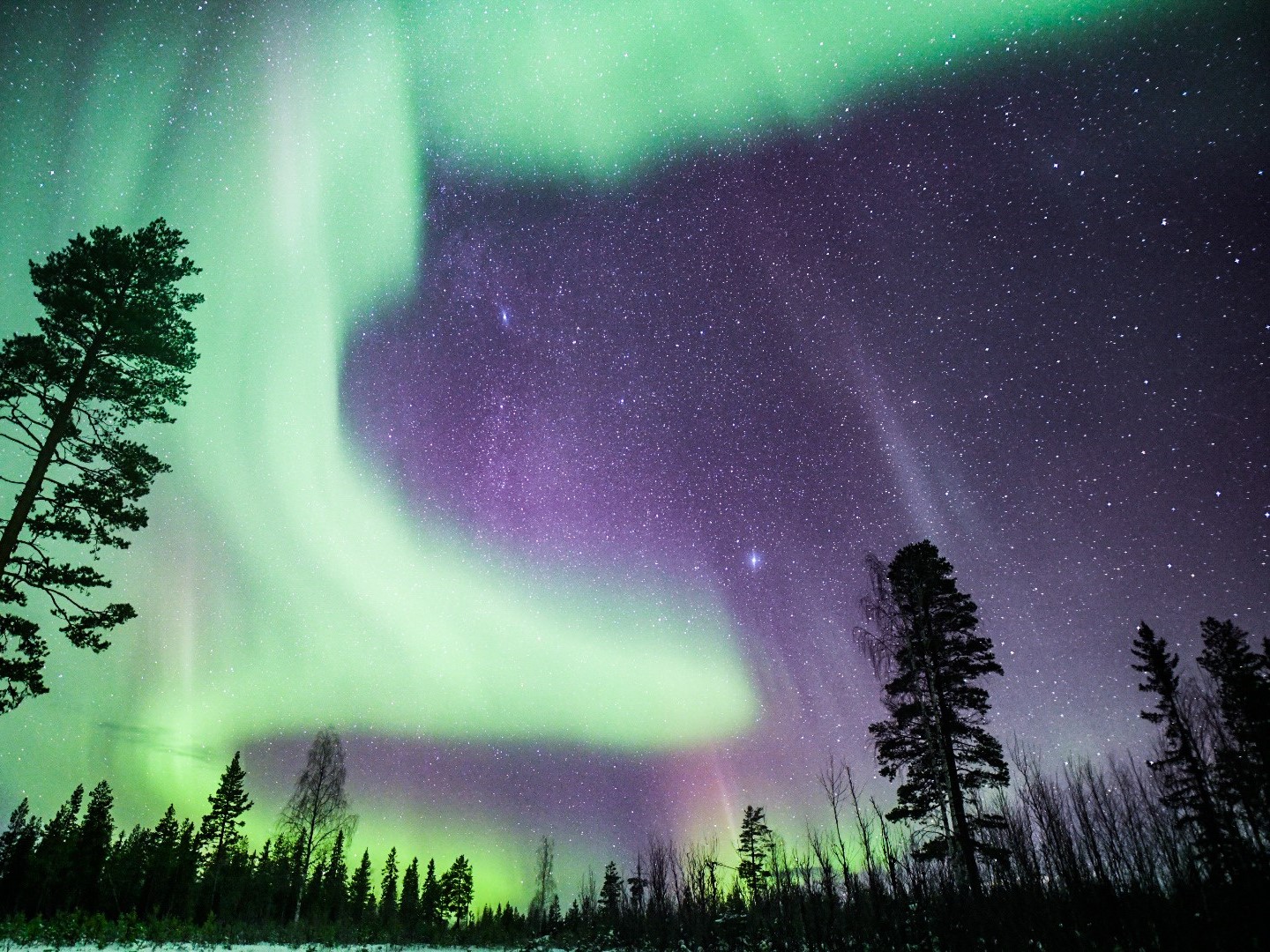Aurora Expedition, Northern Lights Tour, Lapland Rovaniemi, Arctic Road Trips