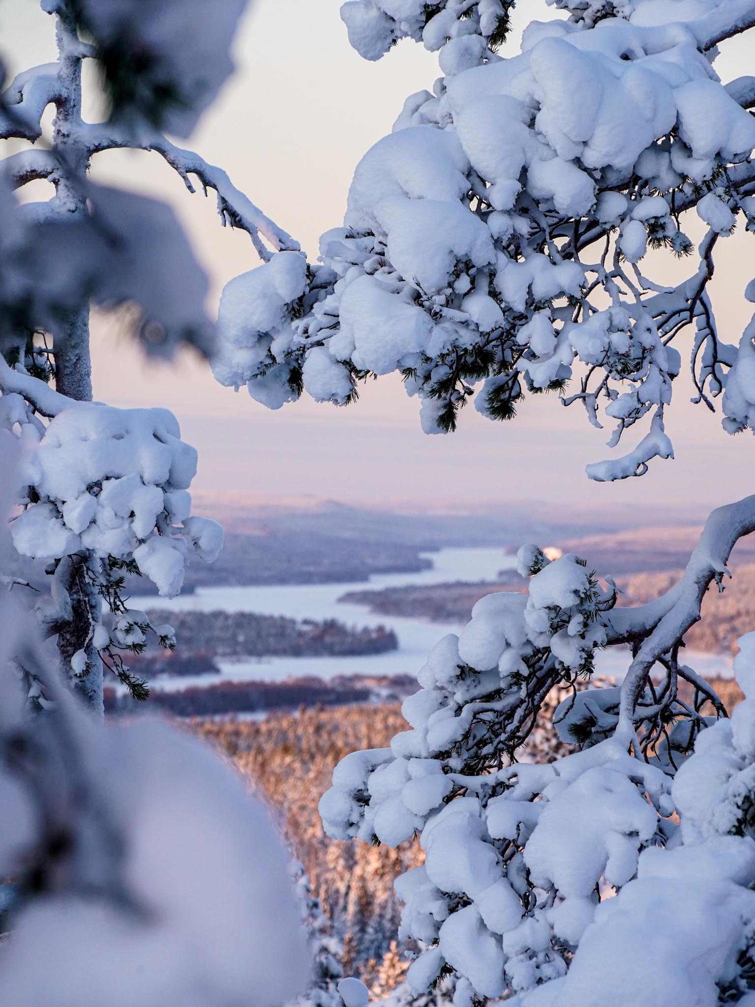 Arctic Road Trips, Luisa Schaffner winter wonderland lapland-2