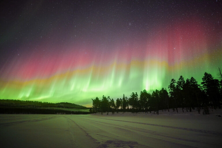 Arctic Road Trips Northern Lights, Lapland Rovaniemi