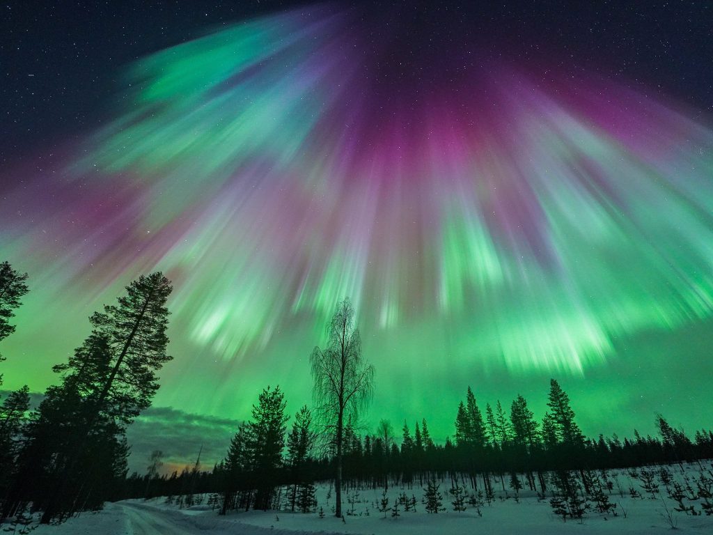 Aurora settembre, Viaggi artici, Lapponia, Luisa Schaffner