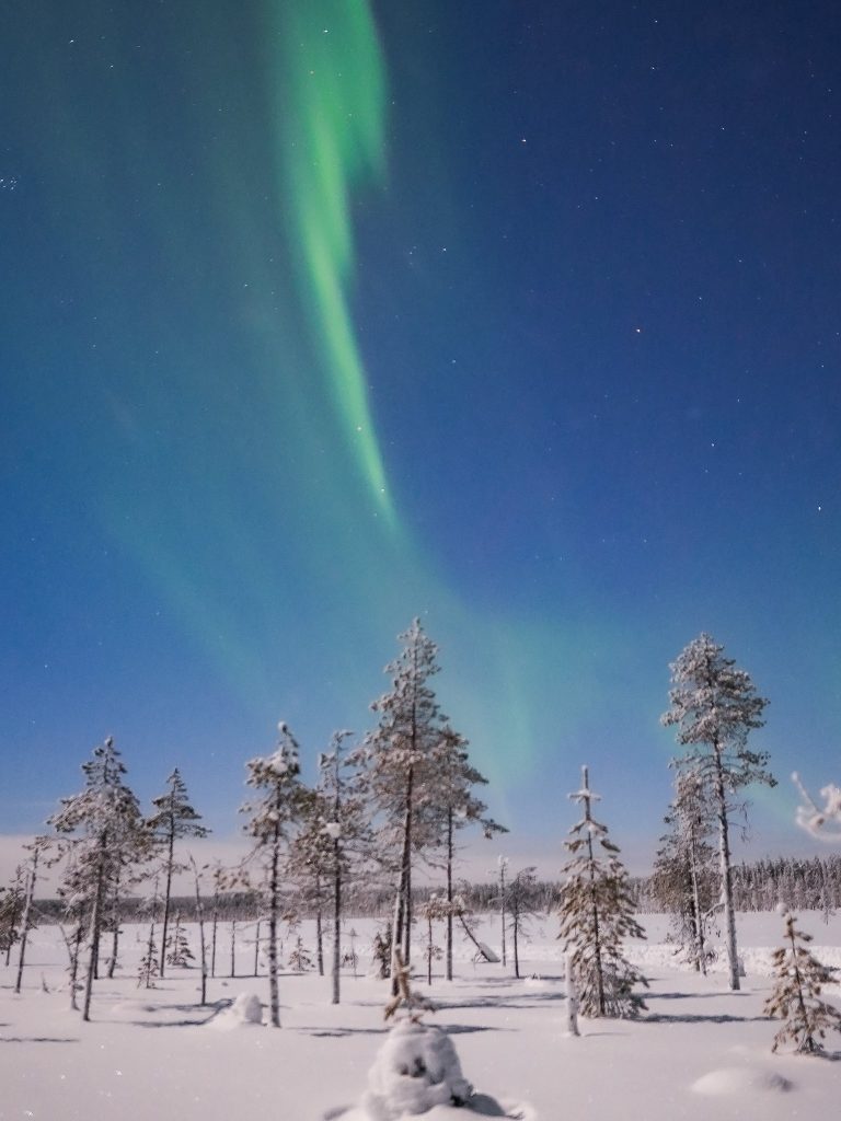 Aurora winter lapland, Rovaniemi, Arctic Road Trips