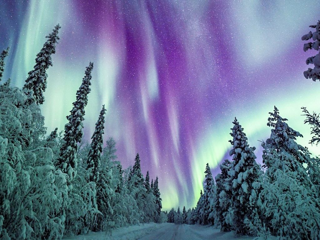 Winter Aurora borealis Lapland, Arctic Road trips