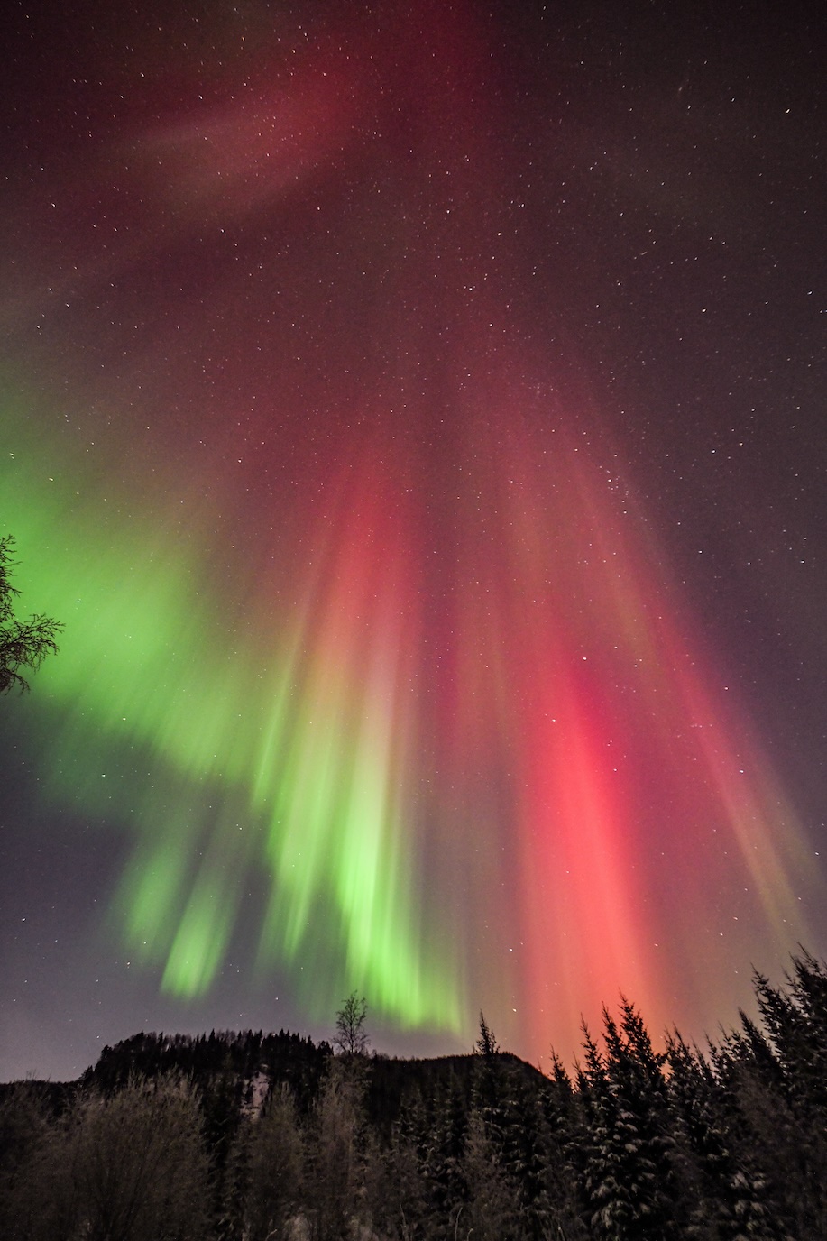 Red Auroras during CME, aurora Tour Rovaniemi Red Auroras during CME, aurora Tour Rovaniemi