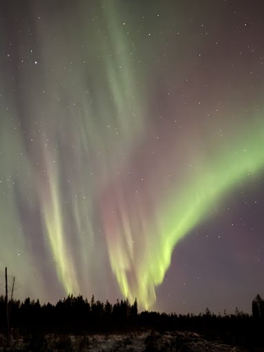 Photo from customer review