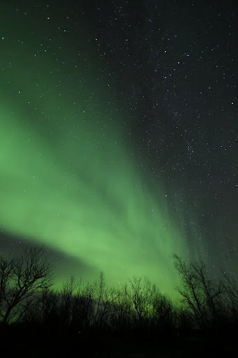 Photo from customer review