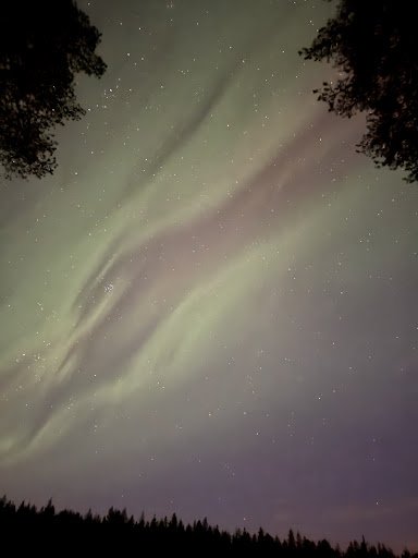 Photo from customer review