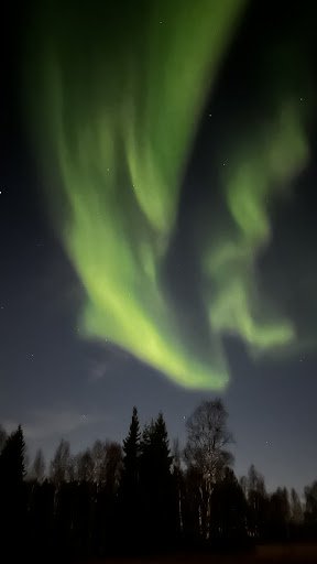 Photo from customer review