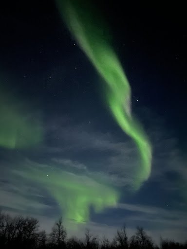 Photo from customer review