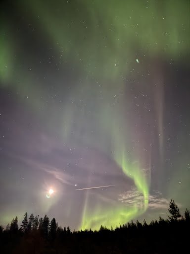 Photo from customer review