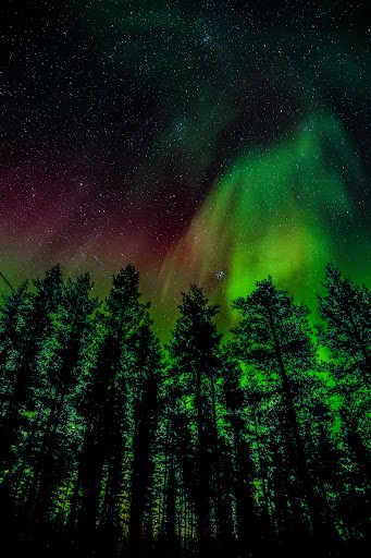 Photo from customer review