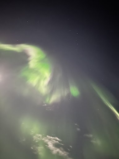 Photo from customer review