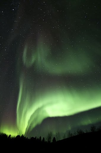 Photo from customer review