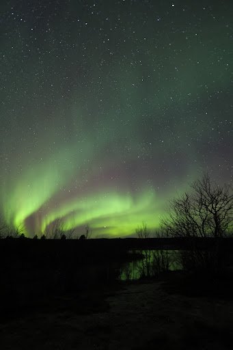 Photo from customer review