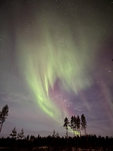 Photo from customer review