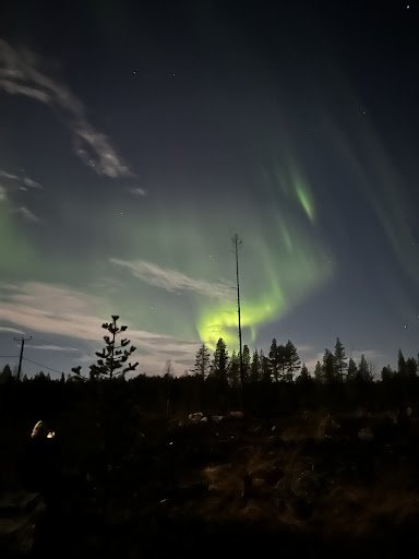 Photo from customer review