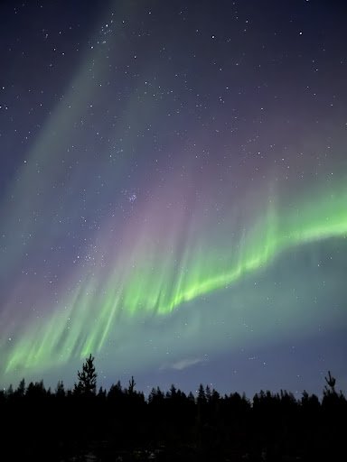 Photo from customer review