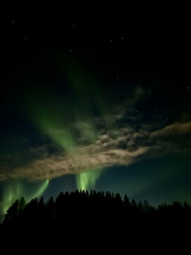 Photo from customer review